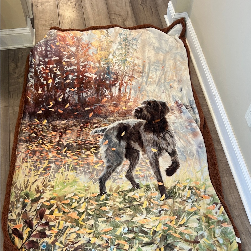 Wired German shorthaired pointer  Blanket